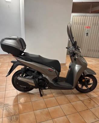 Sh 300 sport 2019