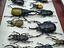 Immagine 3