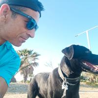 Pet sitter affidabile e amante degli animali