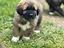 Immagine 4
