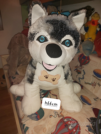 Peluche gigante cane husky