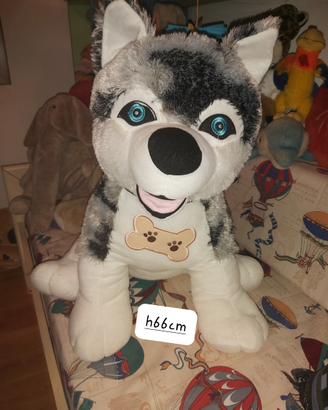 Peluche gigante cane husky