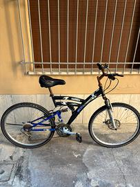 Bici da citta o MTB