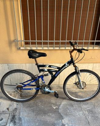 Bici da citta o MTB