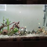 acquario ciano 200 LT