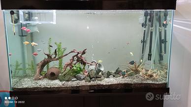 acquario ciano 200 LT