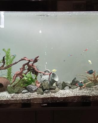 acquario ciano 200 LT