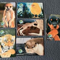 6 schede telefoniche Archimede Save the Planet