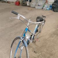 Bici Bianchi da donna