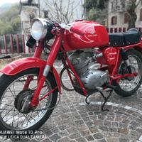 Stornello guzzi