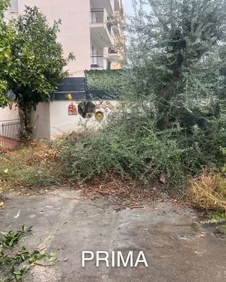 GIARDINIERE (attrezzato per manutenzione giardini)