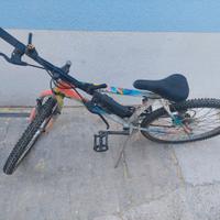 bicicletta raggio 24