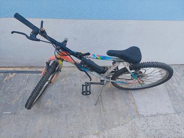 bicicletta raggio 24