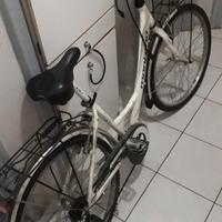 bicicletta da donna 