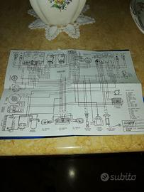 Phantom F12 Malaguti Scooter 50 schema elettrico