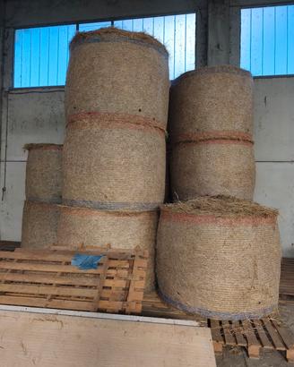rotoballe, balle di fieno 2025