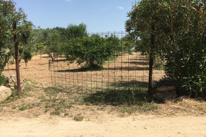 Terreno agricolo con frutteto