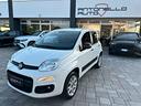 fiat-panda-4x4-van-benzina-allestita-2-posti-iva-e