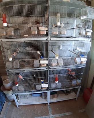 Voliera Pet's Solution