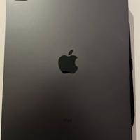 2021 ipad pro (11”, wifi, 256gb)