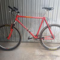 MOUNTAIN BILE LEE COUGAN