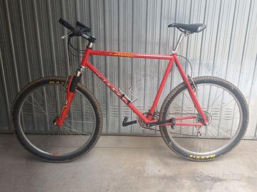 MOUNTAIN BILE LEE COUGAN