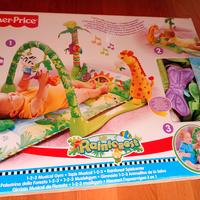 Palestra della foresta 