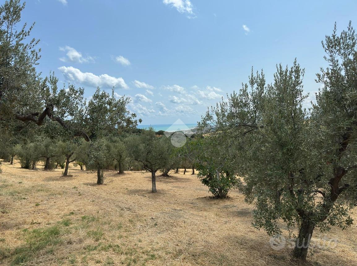 TERRENO A VASTO - Vista 4