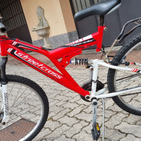 Biciletta sportiva