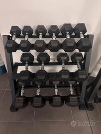 Manubri esagonali gommati Diamond (Hex Dumbbells)