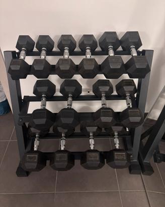 Manubri esagonali gommati Diamond (Hex Dumbbells)