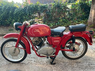 Moto guzzi lodola