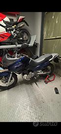 suzuki xf650 freewind