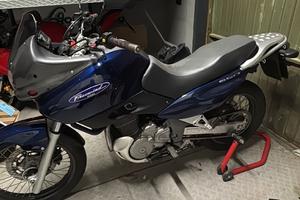 suzuki xf650 freewind