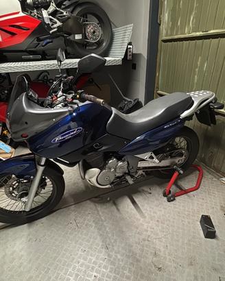 suzuki xf650 freewind