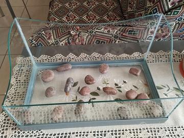 Acquario in vetro robusto. NUOVO.