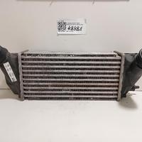 INTERCOOLER FORD EcoSport Serie 2163154 M1JJ/U ben