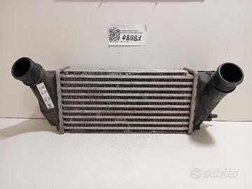INTERCOOLER FORD EcoSport Serie 2163154 M1JJ/U ben