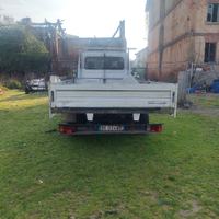Renault mascotte