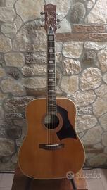 Chitarra acustica EKO Rio Bravo 6