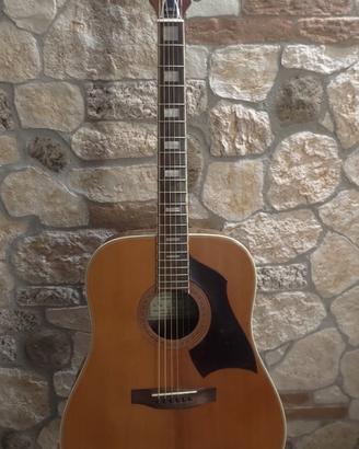 Chitarra acustica EKO Rio Bravo 6