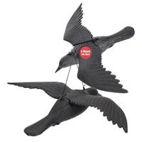 2 corvi scaccia piccioni