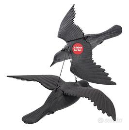 2 corvi scaccia piccioni