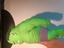 Immagine 5