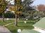 Immagine 10