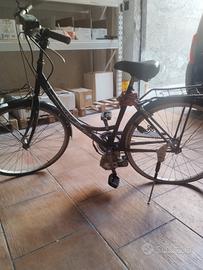 bici bottecchia
