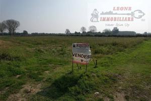 Terreno di 4500 m² a Bornasco