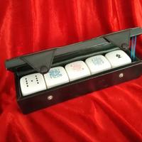 Maxi Dadi da Poker in Custodia 