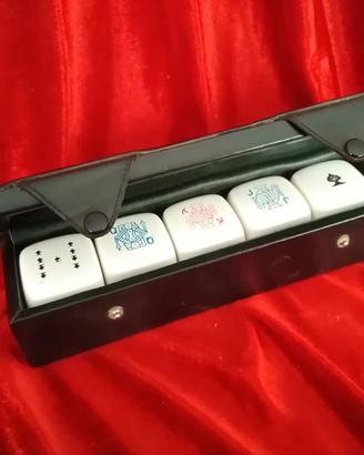 Maxi Dadi da Poker in Custodia 