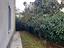 Immagine 22